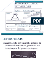 Historia Natural de La Leptospirosis(1)