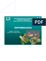 Entomologia - I Unidad - 6ta Clase