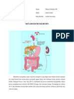 Metabolisme Bilirubin