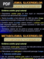 Curs Nr. 11 - Metabolism Lipide - Catabolism