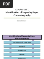 BiochemLab CON Paperchrom