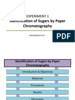 BiochemLab CON Paperchrom