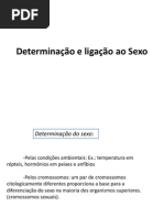 AULA 7 - Determinação e Ligação Ao Sexo