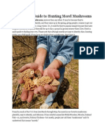 A Beginners Guide to Hunting Morel Mushrooms