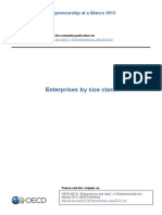 Enterprises by Size Class: Entrepreneurship at A Glance 2013