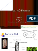 Viruses & Bacteria: Biology 11