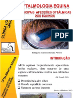 Doenças oculares equinas: diagnóstico e tratamento