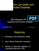 Restriction Enzymes