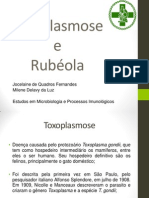 Estudos em Microbiologia sobre Toxoplasmose e Rubéola