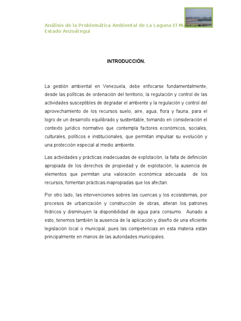 Problemática Ambiental en Laguna El Maguey | PDF | Los bosques | Residuos