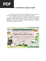 Gestão Ambiental Na Empresa Egelte