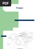 Fungos