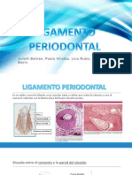 Ligamento Periodontal