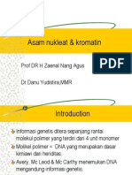 Asam Nukleat & Kromatin 1