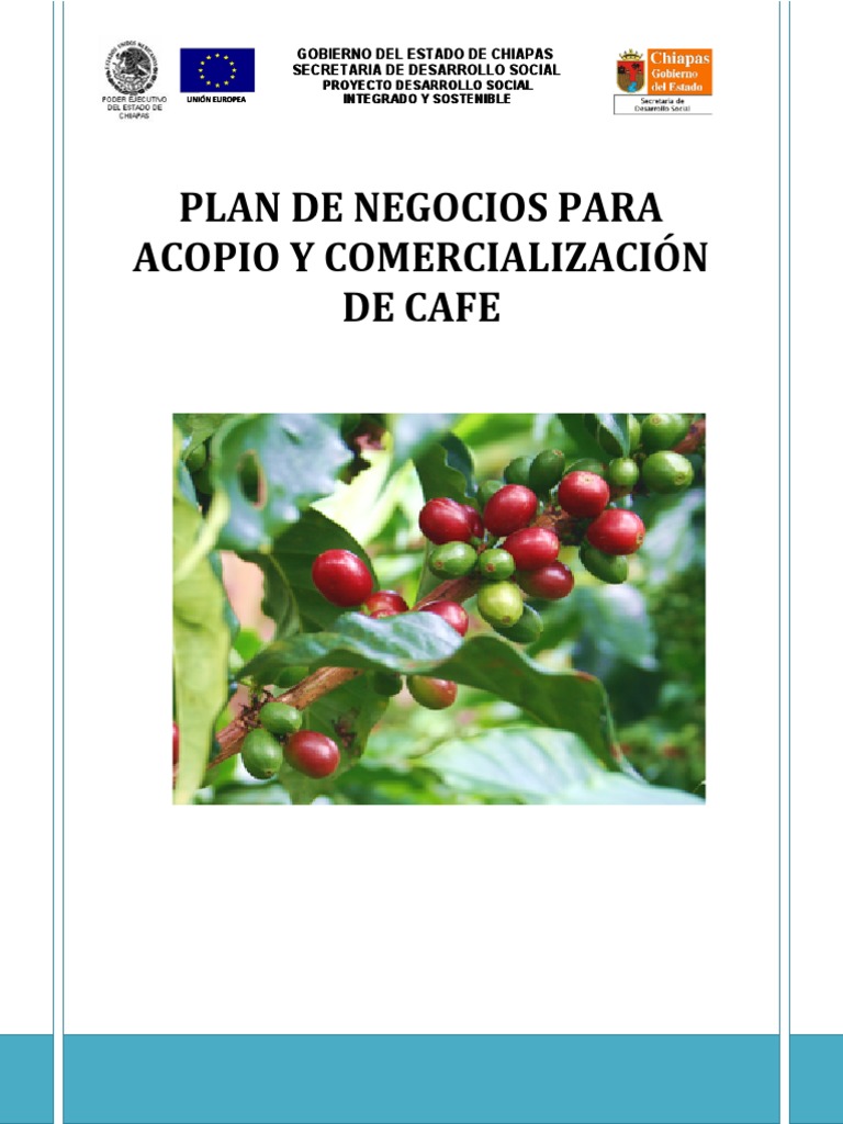 Plan de Negocios para Acopio de Café | PDF | Chiapas | café