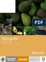 Monografía Del Aguacate