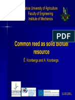 Common Reed As Solid Biofuel Resource