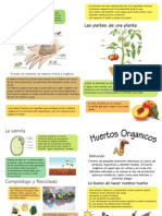 diptico3.pdf