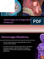 hemorragiassegundamitaddelembarazo-131105082548-phpapp01