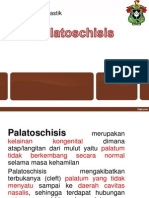 Palatoskisis