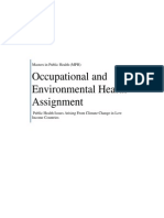 Occupational and Environmental Health Assignment: Masters in Public Health (MPH)