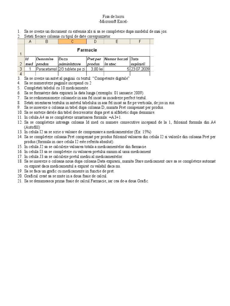 Fisa Excel | PDF
