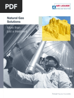 PURASPEC H₂S and Mercury Removal Solutions | PDF | Gases | Mercury ...