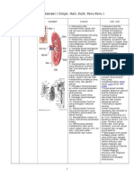 System Ekskresi (Ginjal, Hati, Kulit, Paru-Paru) : Suprarenal)