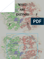 Enzymes 2