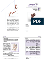 Patologias DL Sistema Muscular PDF