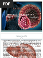 La Hepatitis Final