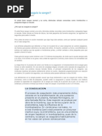 Por Qué Se Coagula La Sangre