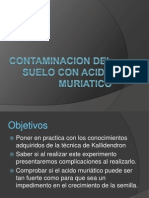 Contaminacion Del Suelo Con Acido Muriatico