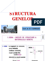 Curs 3 MG Structura Genei