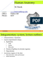 L03 Integumentary System