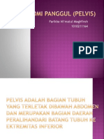 Anatomi Panggul (Pelvis) PPT (Ikha)