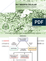 Lesión y Muerte Celular