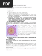 Carta de recomendación