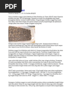 Download Budidaya ikan teri by RamadhanKurniawan SN237369326 doc pdf