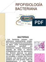 Morfología bacteriana y sus estructuras