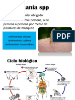 Leishmania SPP