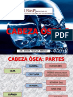 Cabeza Osea i 20 08 13