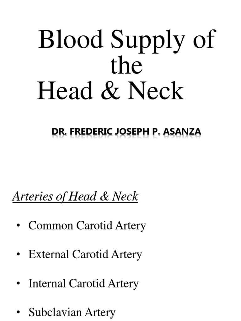 Blood Supply Of Head And Neck Pdf – VKEWJD