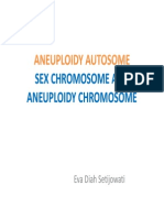 Aneuploidy Autosome and Sex Chromosome Eva