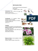 Clasificación de Los Seres Vivos