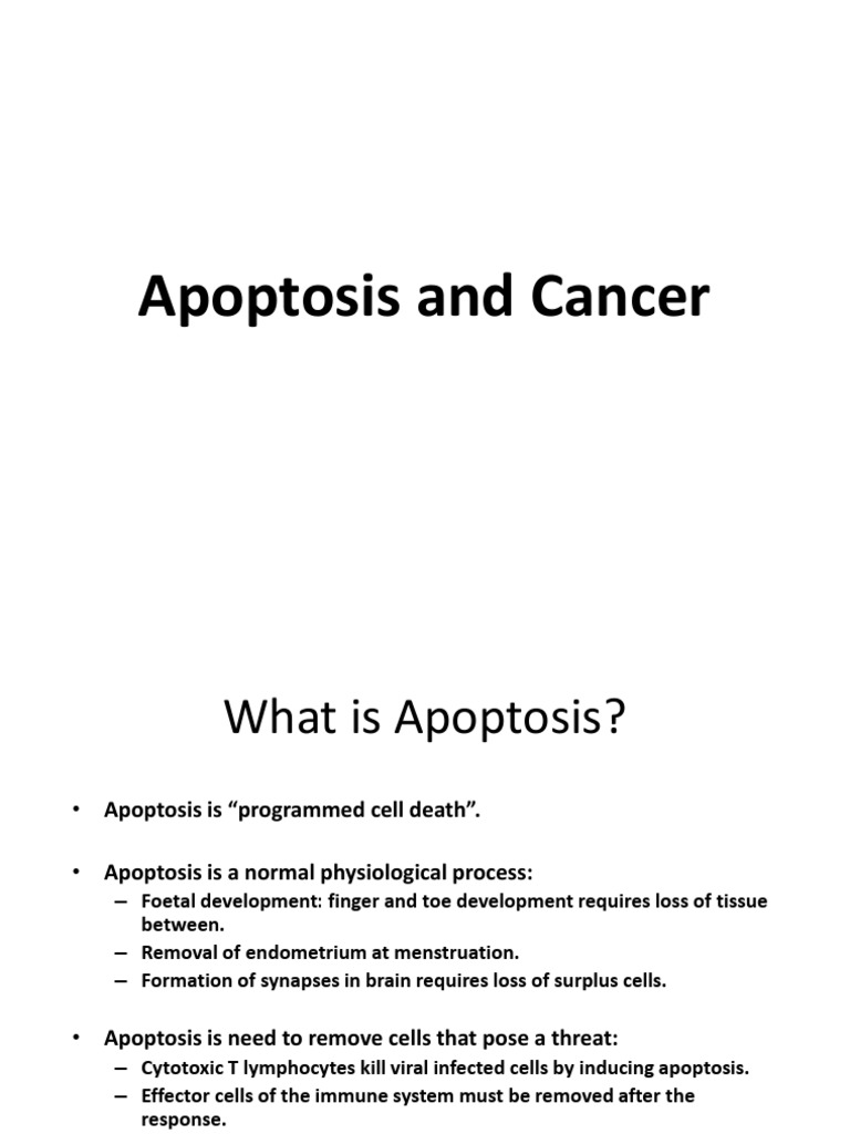 Apoptosis: Mechanisms and Cancer Impact | PDF | Apoptosis | Bcl 2