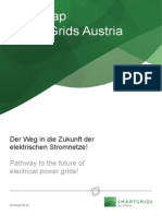 2010 Roadmap Smart Grids Austria