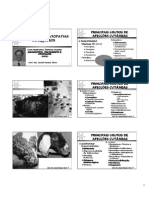 Dermatologia de Eqüinos 2013 - Impressão