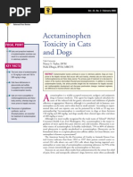 Download CF-Acetaminophen Toxicity in Cats and Dogs by taner_soysuren SN23745295 doc pdf