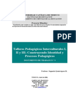 Identidad Procesos Pedagogicos PDF